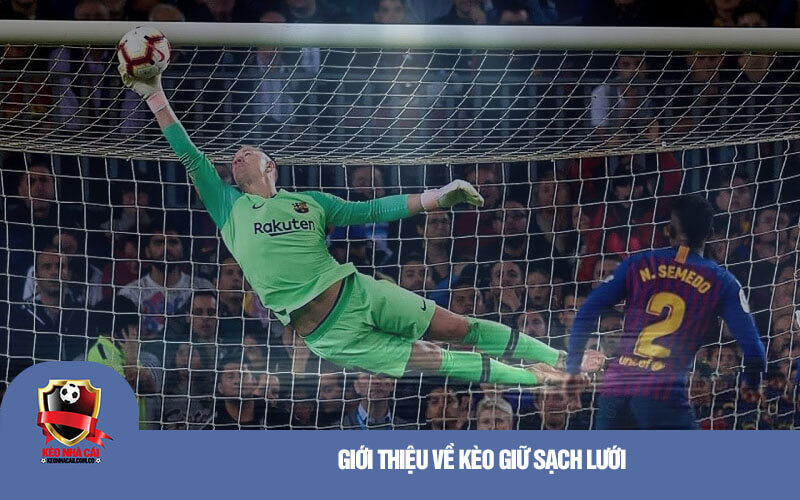 Gioi thieu ve keo giu sach luoi Giới thiệu về kèo giữ sạch lưới